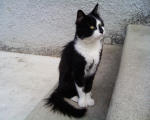Avatar utente
